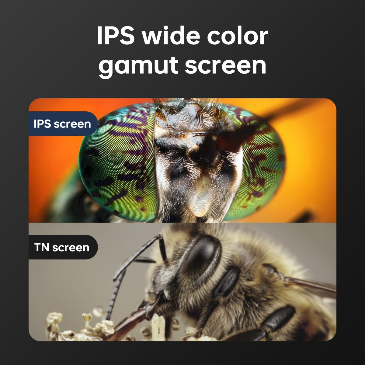 1000X Zoom HD Microscope - 1080P High-Resolution, 8 LED Illumination, Realistic Image Capture for Education and Research